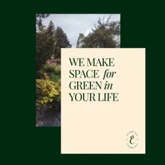 My purpose is simple: I make space for green in your life. In a world where we can feel disconnected from nature, I believe creating a personal sanctuary is not a luxury but a necessity for restoring balance, reducing stress, and improving overall well being.