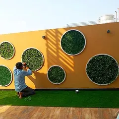 A creative wall treatment for a terrace in Yojna Vihar, Delhi. I installed circular frames filled with artificial greenery on a bright yellow wall, adding a unique artistic element to the rooftop space.