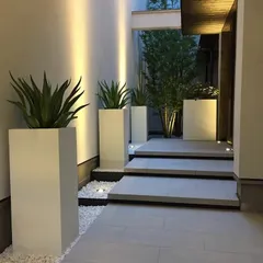 For a more formal and modern look, I use sleek designer planters. These tall, white FRP planters create a sophisticated and welcoming entrance, proving that green decor can be both natural and incredibly chic.