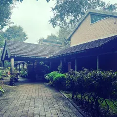 The pathway to our meditation hall, surrounded by the quiet beauty of our retreat grounds. Every corner of this space is filled with a palpable sense of peace.