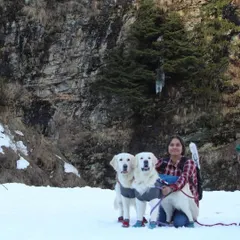 Our first time experiencing heavy snow in Himachal. The dogs are wearing jackets and booties, essential gear for protecting them from the cold and rough terrain.