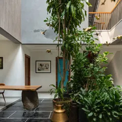 A central courtyard bringing life and light into the heart of a home. A tall tree reaches for the sky, surrounded by lush greenery and accented by brass bird sculptures that add a touch of whimsy and artistry to the biophilic design.