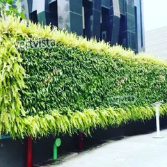 A wider view of the outdoor green wall at The Wadhwa Group's Platina project. This living wall acts as a privacy screen while adding significant aesthetic value to the property's exterior.
