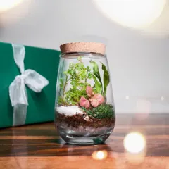 The finished product. After following the instructions in the DIY kit, you'll have a gorgeous, thriving terrarium that you made yourself. It's a truly rewarding experience.