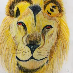 This colored pencil drawing of a lion by a 7 year old is a testament to their grasp of color theory and texture. We focused on layering warm yellows and browns to build up the mane's depth and intensity.