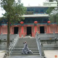 Practicing a Kung Fu stance on the steps of the Thousand Buddha Hall at the Shaolin Temple. This sacred space is a powerful reminder of the deep spiritual roots of our martial practice.