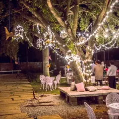 A memory from an early garden party, with fairy lights and birdcages creating a whimsical atmosphere. It’s been a wonderful decade of growing, learning, and creating magic for our clients.