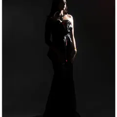 I love playing with shadows to create mood and drama. For this shot, I used a single light source to sculpt the model's silhouette against the dark background, emphasizing the form of the gown and creating a powerful, cinematic feel.
