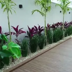 This is a modern garden design we created. It features a clean wooden deck pathway next to a garden bed with purple cordyline plants and tall grasses, showing how we mix materials for a beautiful look.