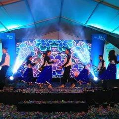 A beautiful partner-dance sequence from the corporate show. I choreograph a variety of styles, including ballroom and contemporary, to fit the theme of any event.