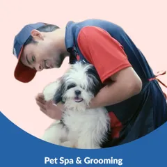 A gentle touch and a reassuring hug make all the difference, especially for first-timers. We prioritize your pet's comfort and emotional well-being, ensuring they feel safe and loved throughout their spa experience.