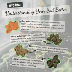Understanding your soil is the first step to successful gardening. This visual guide explains the differences between clay, sandy, silt, and loam soils and their characteristics.