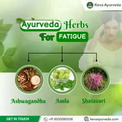 Feeling constantly tired? Ayurvedic herbs like Ashwagandha, Amla, and Shatavari can help you beat fatigue naturally by boosting stamina and restoring vitality.