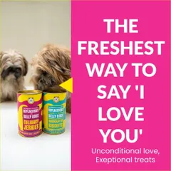 I believe the freshest way to say 'I love you' is with treats made from real, honest ingredients. My handcrafted biscuits and jerkies are made without preservatives, using only farm-fresh fruits, veggies, and meats, packed to stay fresh for your best friend.
