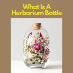 What is a Herbarium Bottle? It's a beautiful Japanese technique of preserving dried flowers in a bottle. This is a wonderfully mindful craft that lets you capture the beauty of nature forever.
