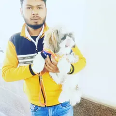 Holding a cute Shih Tzu. I am just as comfortable and gentle with small and toy breeds, ensuring they feel secure during our walks.