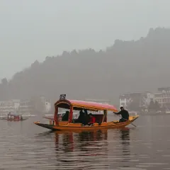 A classic yellow shikara glides across the calm, misty waters of Dal Lake in Srinagar. This is the timeless, tranquil beauty of Kashmir.
