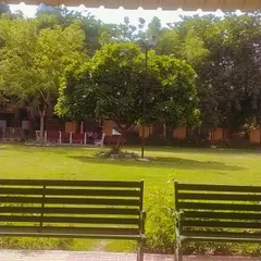 A peaceful view from a bench at Mehndi Park. We take pride in keeping public spaces green and beautiful for the community to enjoy.