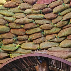 A detailed look at the interior of the earthbag dome. You can see how upcycled onion sacks are filled with earth and layered with barbed wire to create a strong, self-supporting structure.