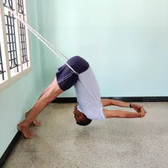 Adho Mukha Shvanasana (Downward-Facing Dog) with rope support. The rope around the hips pulls the pelvis back and up, teaching the correct action for lengthening the spine.