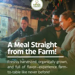 Our head farmer and chef discussing the day's harvest with guests. We believe a meal is more than just food; it's an opportunity to learn where your food comes from and connect with the process.