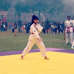 A student performing her individual pattern (Tul) at a state competition. The judges look for balance, power, and correct form, all of which we drill relentlessly in our dojo.