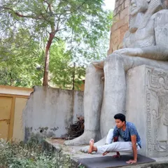 Eka Hasta Bhujasana, the Elephant's Trunk Pose, is an arm balance that strengthens the arms and wrists while opening the hips. It is a testament to how dedicated practice improves coordination, focus, and endurance.