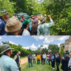 Our butterfly and dragonfly walks are a favorite, especially during peak season. We take you to spots where these pollinators are most active. It is a chance to get close, learn about their life cycles, and understand their vital role in the environment.