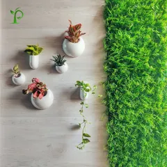 This design combines two popular trends: a maintenance-free preserved moss wall and elegant ceramic wall-mounted planters. This pairing adds a sophisticated, natural touch to any interior wall with minimal upkeep.