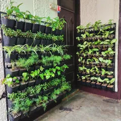 A dual-panel vertical garden installed around a corner, maximizing green space in a compact area.