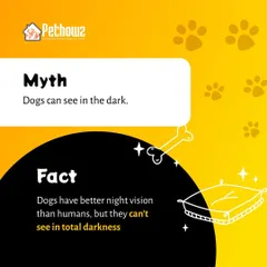 It's a common myth that dogs can see in total darkness. This fact sheet clarifies that while dogs have better night vision than humans, they still need some light to see.