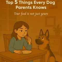 Life with a dog means your food is never just yours. Those puppy-dog eyes are expert negotiators at the dinner table.