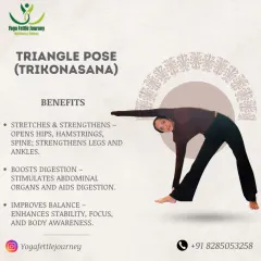 Triangle Pose, or Trikonasana, is a foundational standing pose that stretches the entire body. This graphic outlines its benefits for digestion and balance.