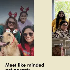 A snapshot from one of our meet-ups, where pet parents get to connect with others who truly understand the joys and challenges of raising a dog.