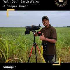 Our guide Deepak Kumar, ready with his scope in the field. Raised in Delhi's green corridors, Deepak has a gift for spotting birds and sharing their stories, making every walk a lesson in listening to nature.