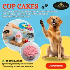 It’s not just about big cakes. I also create delightful, pet-friendly cupcakes, perfect for a smaller treat or party favors for your pup's friends.