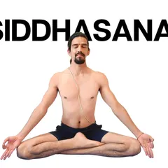 Siddhasana, the Accomplished Pose, is one of the most important postures for meditation. It calms the nervous system, activates the lower chakras, and prepares the body and mind for deep states of serenity and pranayama.