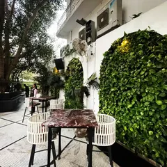 The unique arched green walls we created for Diablo restaurant in Mehrauli. This project demonstrates how we can tailor our living wall designs to match a brand's specific architecture and aesthetic.