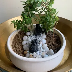 Another take on the miniature garden, this time creating a tiny landscape with a pebble river and lush Jade plants. These small-scale projects are a great way to practice mindfulness.