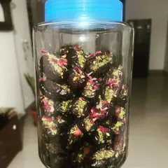 A jar full of my gourmet stuffed dates, filled with pistachios and garnished with dried rose petals. They are as beautiful as they are delicious and make a wonderful, healthy treat.