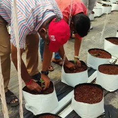 Volunteers getting their hands dirty, carefully transplanting seedlings in our greenhouse. Our 'Farmer for a Day' program is a chance to connect with the soil, learn practical farming skills, and share a meal with our team.
