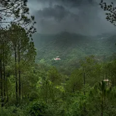 The deep green valleys of Uttarakhand under a blanket of dramatic, moody clouds. This shot, taken on my iPhone, shows that the most powerful landscapes don't always need bright sunshine; sometimes the story is in the storm.