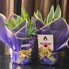 Plants make the best gifts. Here are a couple of plants, an Areca Palm and a Snake Plant, wrapped and ready for Diwali gifting with custom tags. I can prepare these for any occasion, personal or corporate.
