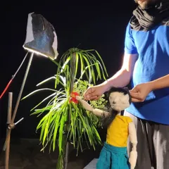 A glimpse into our creative process. Here, we are setting up a scene with simple props and focused lighting.