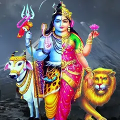 The Ardhanarishvara form, representing the union of Lord Shiva and Goddess Parvati, teaches us about balance and harmony. Worshipping this divine form can bring balance to your life and relationships, enhancing both wisdom and creativity.
