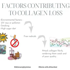 Environmental factors like UV rays, pollution, smoking, and a high-sugar diet accelerate collagen loss. These factors create free radicals that attack and weaken collagen fibrils, compromising skin quality.
