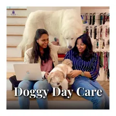 Our Doggy Daycare is a place for fun, friendship, and professional care. Pet parents can work or relax knowing their furry family members are in a safe and engaging environment.