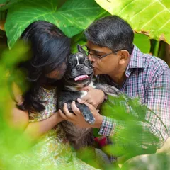 A perfect moment framed by nature. This birthday shoot for a French Bulldog shows how we can find beautiful settings right in your own backyard to create magical photos.