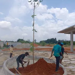 Good soil is crucial for a healthy garden. My team and I are shown here filling the planter with improved soil, ensuring the new tree and plants will have the nutrients they need to thrive.