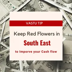 A simple and effective Vastu remedy to enhance your financial prosperity. Placing fresh red flowers in the South-East direction of your home or office can help activate the energy of cash flow and attract new opportunities for wealth.
